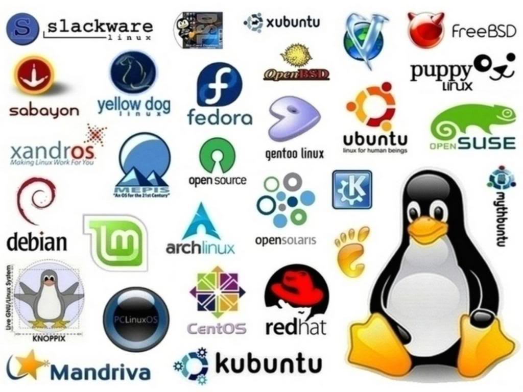 Distribuciones De Linux Para Pymes Y Grandes Empresas